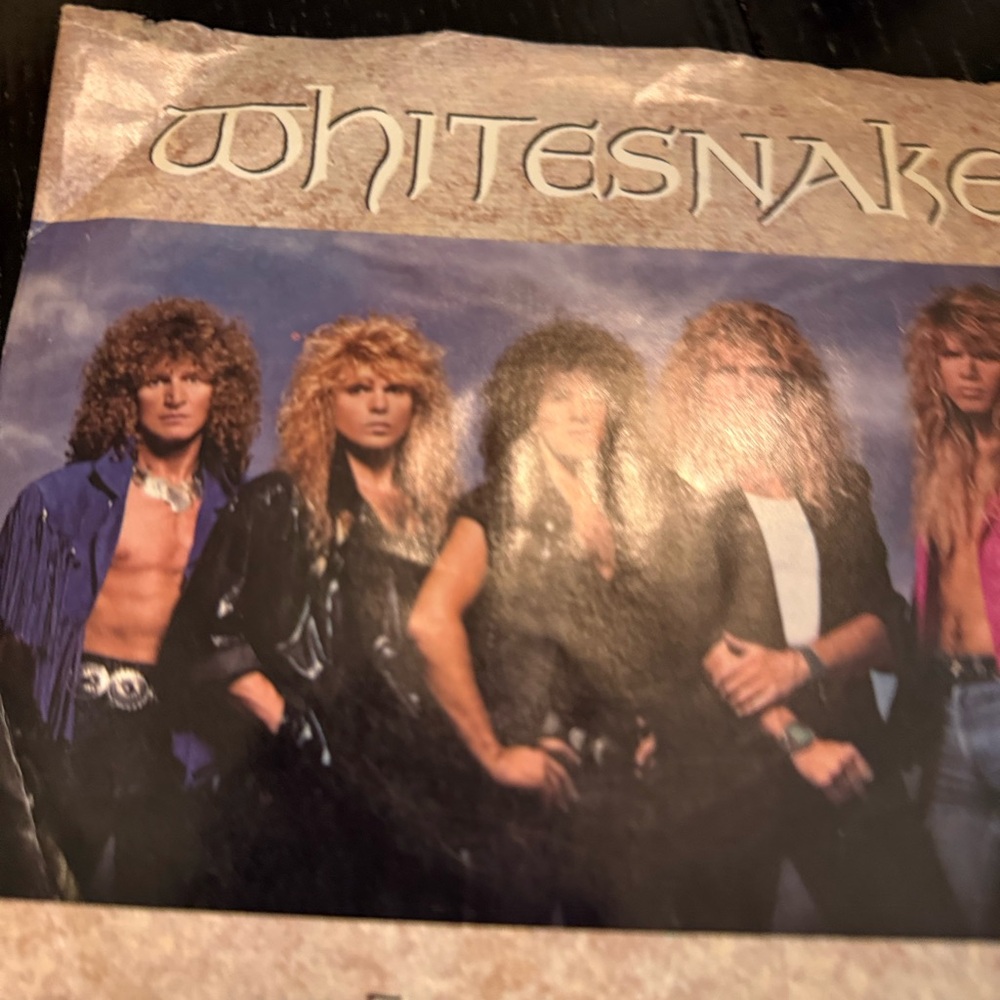 White Snake 45 vinyl record with sleeve good‎ condition tested